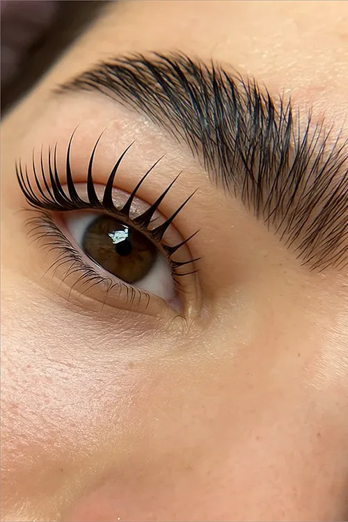 Lash Lift, Lash lamination, Lash Bloom
