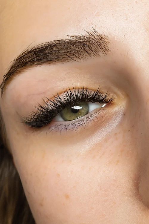 Eyelash Extensions, Russian Volume, Lash Bloom