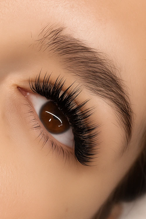 Russian Volume – Trendy Effect, Russian Volume, Lash Bloom