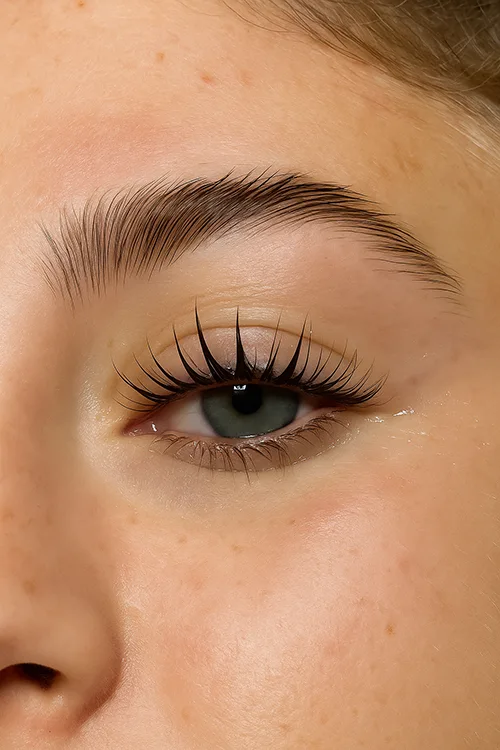 Lash Lift, Lash lamination, Lash Bloom