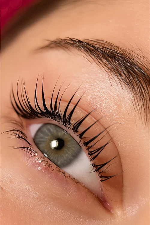 rehaussement de cils, rehaussement des cils, Lash Blossom