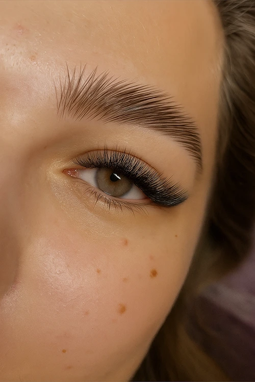 Brow Lift, rehaussement des sourcils, Lash Blossom