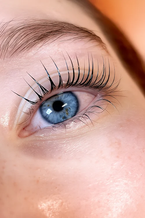 rehaussement de cils, rehaussement des cils, Lash Blossom