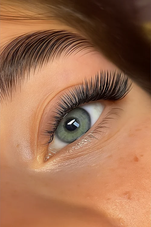 Volume Russe - Trendy effect, Extensions de cils, Volume Russe, Lash Bloom