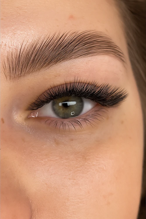 Volume Russe - Trendy effect, Extensions de cils, Volume Russe, Lash Bloom