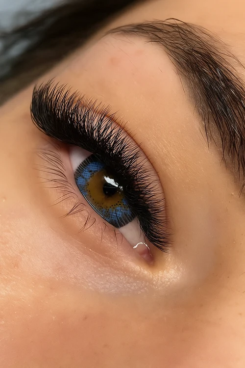 Mega Volume, Volume Russe, Lash Bloom